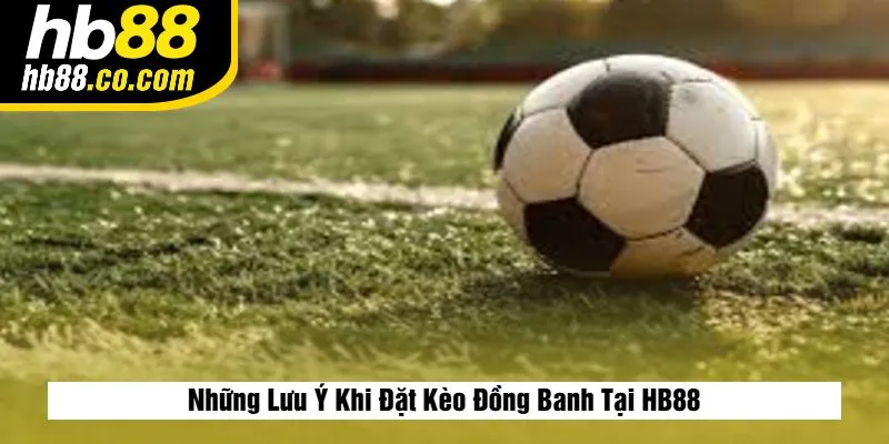 Những Lưu Ý Khi Đặt Kèo Đồng Banh Tại HB88